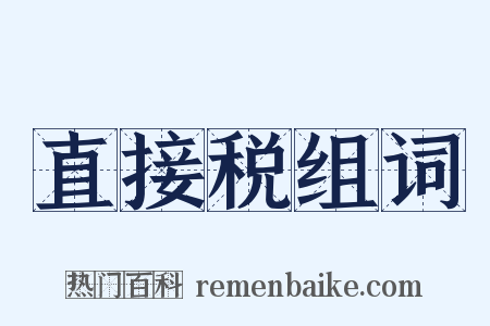 直接税组词是什么意思的图片